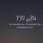 Islamic thoughts profile picture