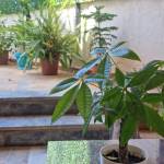 SlickPay Sans Costume profile picture